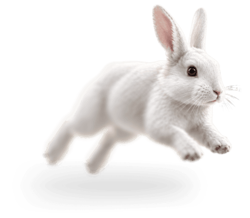 A hare leaping forward, representing how much faster Voyager moves
